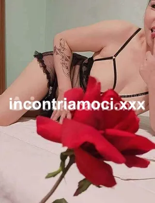 1 - Nuova Escort Varese - 3313951755