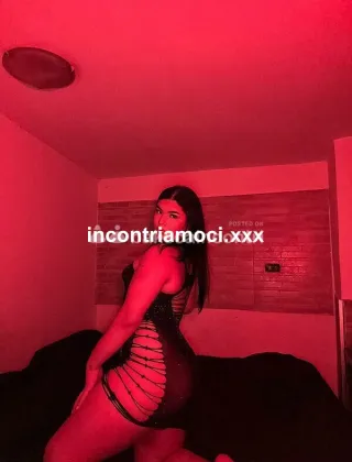 4 - Mia Trans Napoli - 3510491705