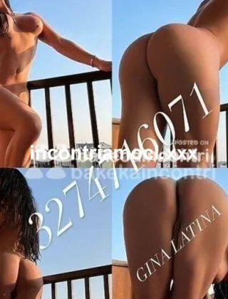 17 - Gina Trans Lucca - 3274716071