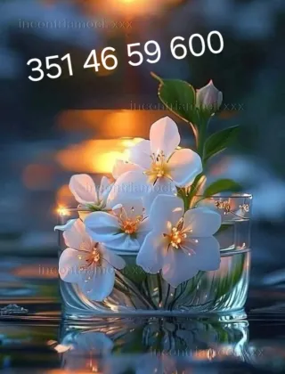 12 - Anna Massaggi Bologna - 3514659600