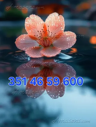 5 - Anna Massaggi Bologna - 3514659600