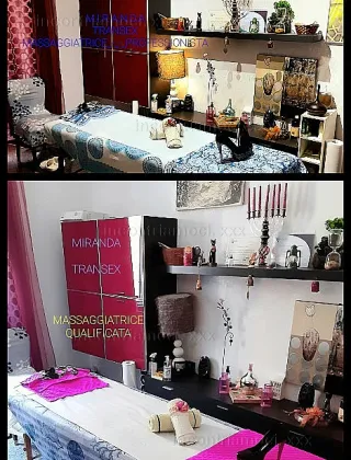 3 - Miranda Trans Roma - 3279445223