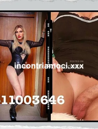 22 - Lumia Trans Trans Alessandria - 3270259846