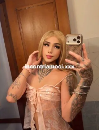 5 - Trans Roma - 3512128209