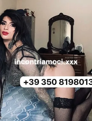 3 - Monica Trans Terni - 3508198013