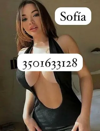 3501633128 - Sofia 27 Escort 🇨🇴 Colombiana Campobasso