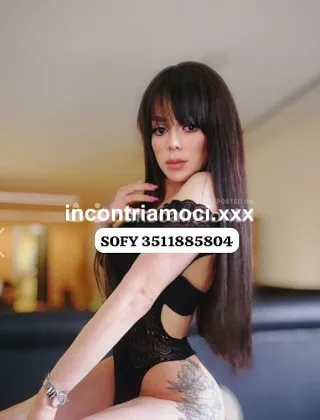 1 - Sofy Trans Latina - 3511885804