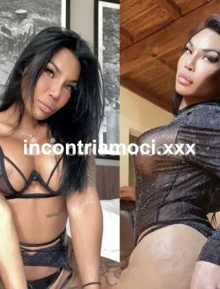 1 - Mandy Trans Grosseto - 3270531479