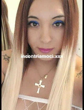 2 - Pricyla Trans Forlì-Cesena - 3926860925