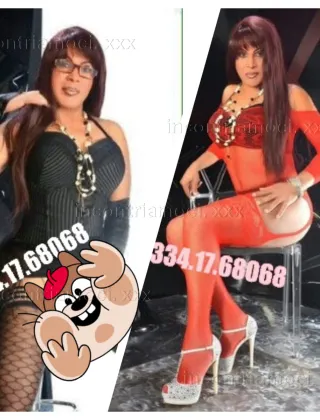 2 - Salome Trans Lodi - 3341768068