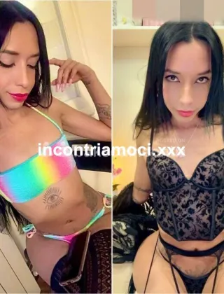 6 - New Trans Terni - 3934142935
