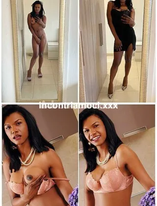 2 - Paula Trans Roma - 3485947845