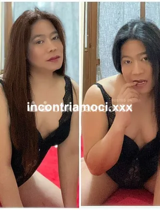 7 - Ahya Asiatica Trans Bologna - 3520527496