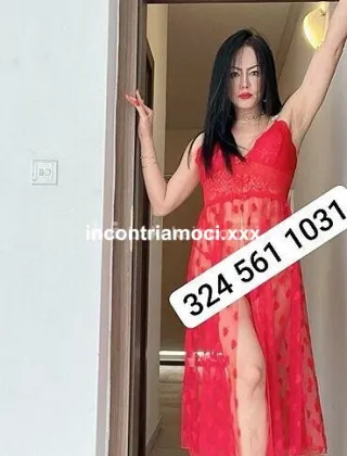 4 - New Trans Roma - 3245611031