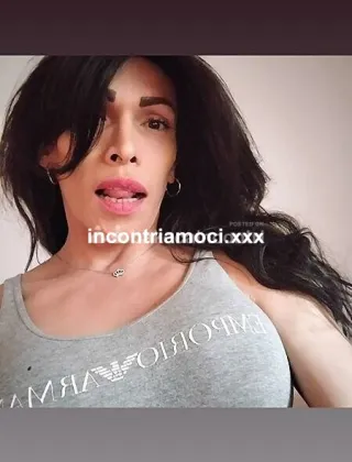 1 - Lionza Cavallona Trans Campobasso - 3348219962