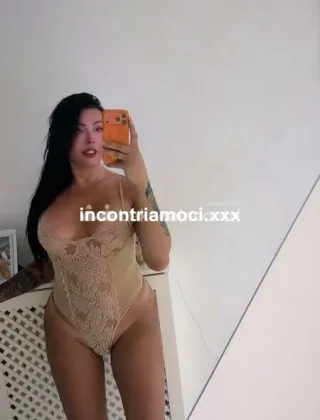4 - Kim Trans Caserta - 3313252921