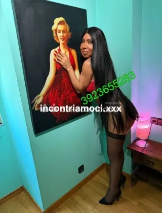 5 - Gabriela Trans Bologna - 3923655283