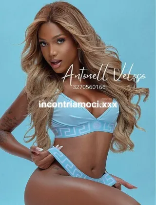 2 - Antonela Trans Teramo - 3270560166