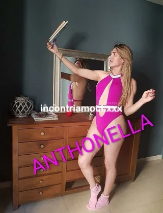 10 - Top Trans Anthonella Trans Campobasso - 3894550953