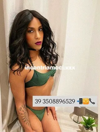 2 - Biia Trans Milano - 3508896529