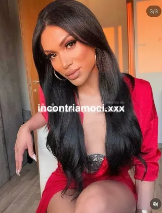 1 - Nina Trans Verona - 3474642611