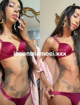 13 - New Trans Terni - 3934142935