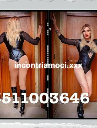 20 - Lumia Trans Trans Alessandria - 3270259846