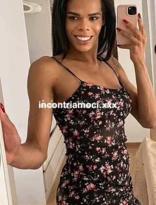 15 - Vittoria Trans Torino - 3391003682