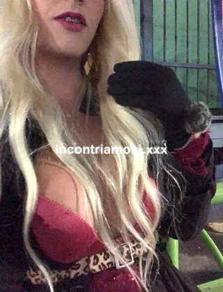 16 - Brunelly Trans Treviso - 3313834814