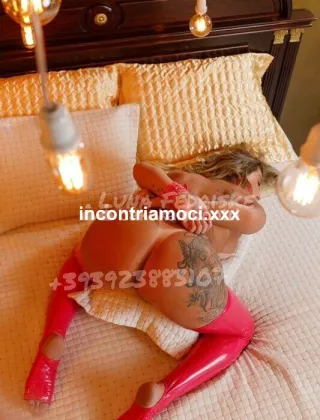6 - Luna Trans Varese - 3886251885