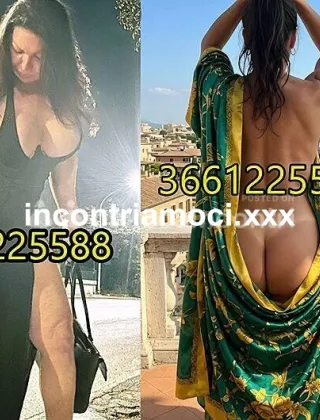 19 - Ylari Trans Roma - 3661225588