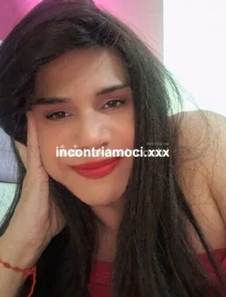 4 - Linda Trans Bergamo - 3534989157