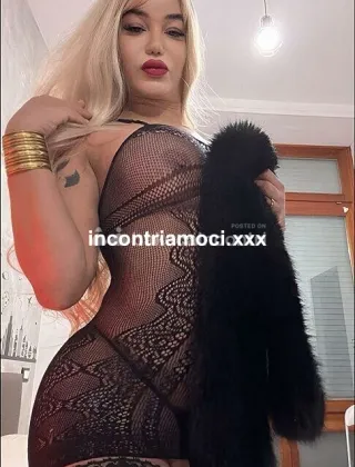 18 - Luna Trans Varese - 3929788126