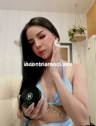 11 - Ticha Thailandese Trans Trento - 3200350187