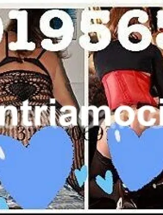 3391956343 - Suellen 32 Trans 🇧🇷 Brasiliana Alessandria