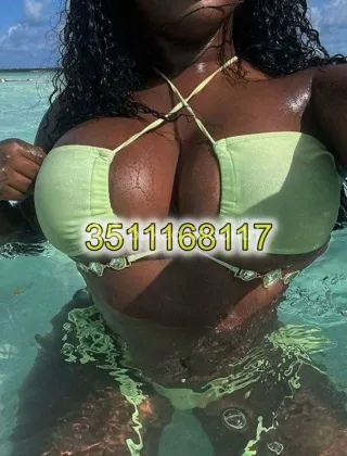 23 - New Escort Pavia - 3511168117