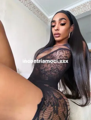 6 - Neli Trans Parma - 3508964833