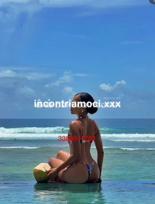 14 - Lilianna Escort Novara - 3389911253