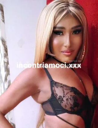 7 - Vivian Trans Caserta - 3801330772
