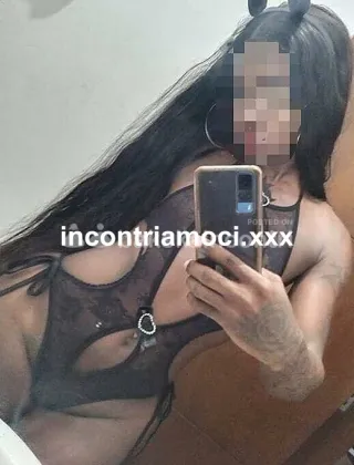 2 - Vittoria Trans Treviso - 3508040758