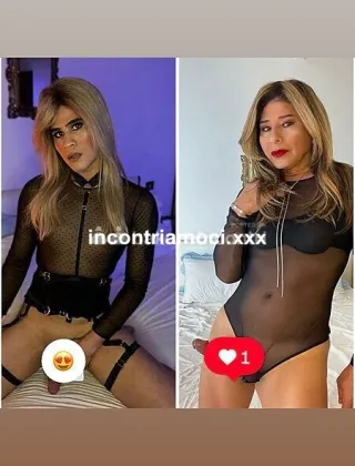 7 - Loryn Trans Pisa - 3509144414