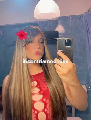 4 - Ferrari Trans Latina - 3928614174