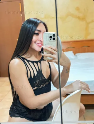 3 - Trans Bologna - 3522886562