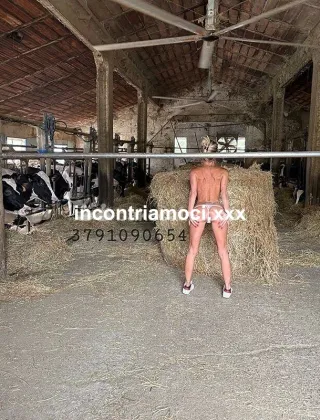 3 - Monella Coppie Reggio Emilia - 3500478739