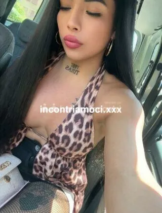 6 - Sheynis Trans Piacenza - 3883454134