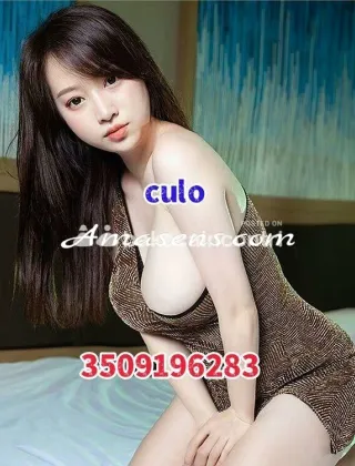 7 - Nuova Escort Novara - 3444329880