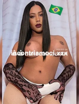 11 - New Trans Venezia - 3808625582