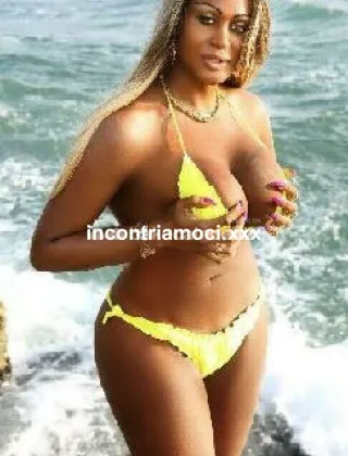 7 - Jayane Trans Lucca - 3701646086
