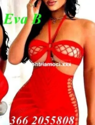 2 - Eva Trans Catanzaro - 3662055808