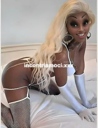5 - Virna Trans Milano - 3494393969